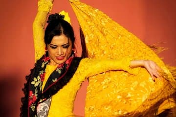 Authentic Flamenco Show Ticket activity